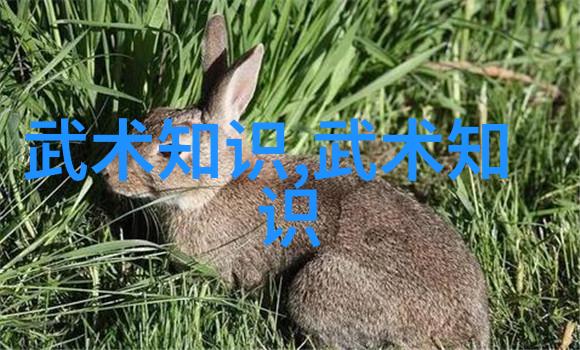 骑行侠帮驴友在省城打造梦想输出地