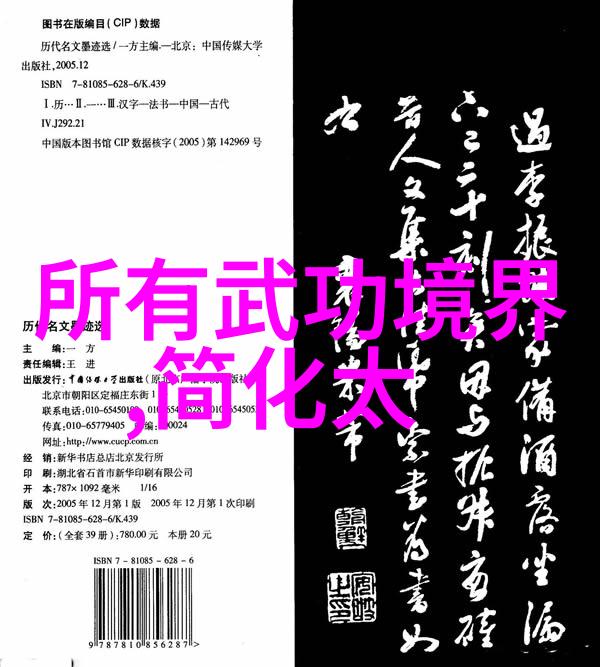 中国武术中的拳法种类繁多探索千年传承的艺术之美