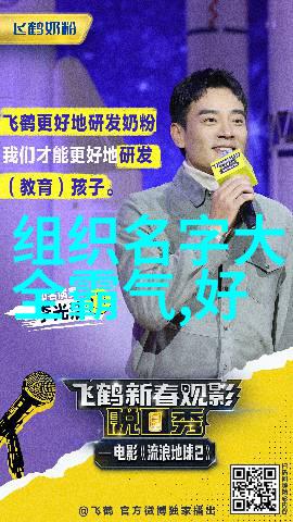 人物探秘中国武术十大拳法排名中傅式形意内家拳的独特魅力