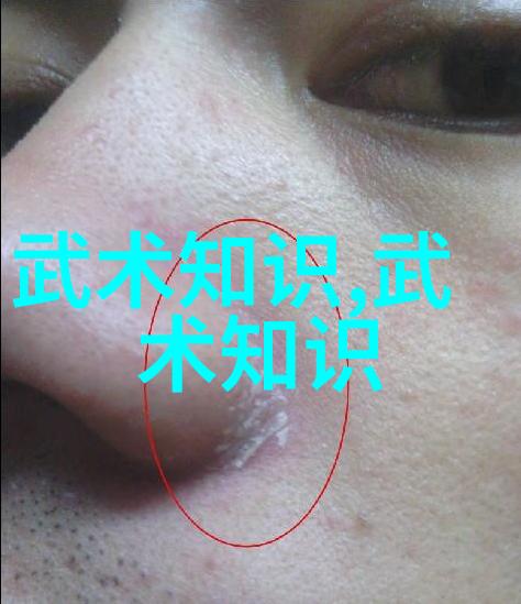 武林秘籍揭秘探寻中国功夫奥秘的古籍宝库