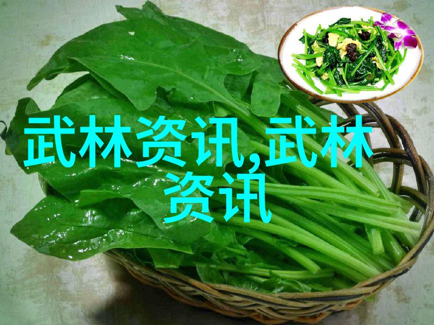 从懒人到武者家里蹲练武的绝妙秘籍