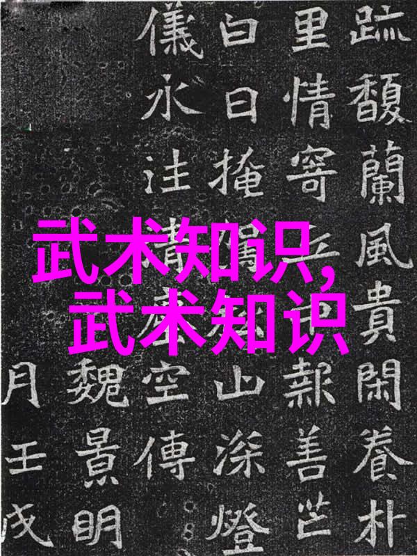 王文贤讲解太极24式正面背面的反复核心要素