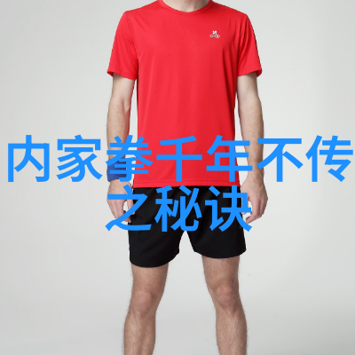 探索第五式两手合璧心想事成的意境与技巧