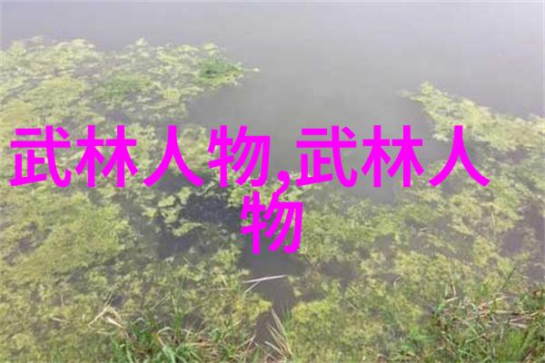 世界之巅寻觅最强武功秘籍