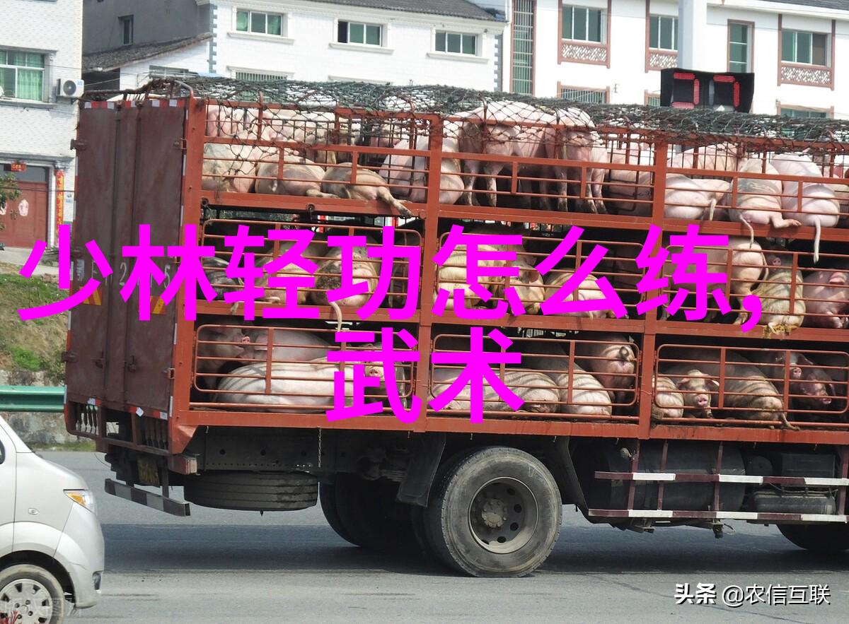 江湖恩怨武林人物的复杂命运