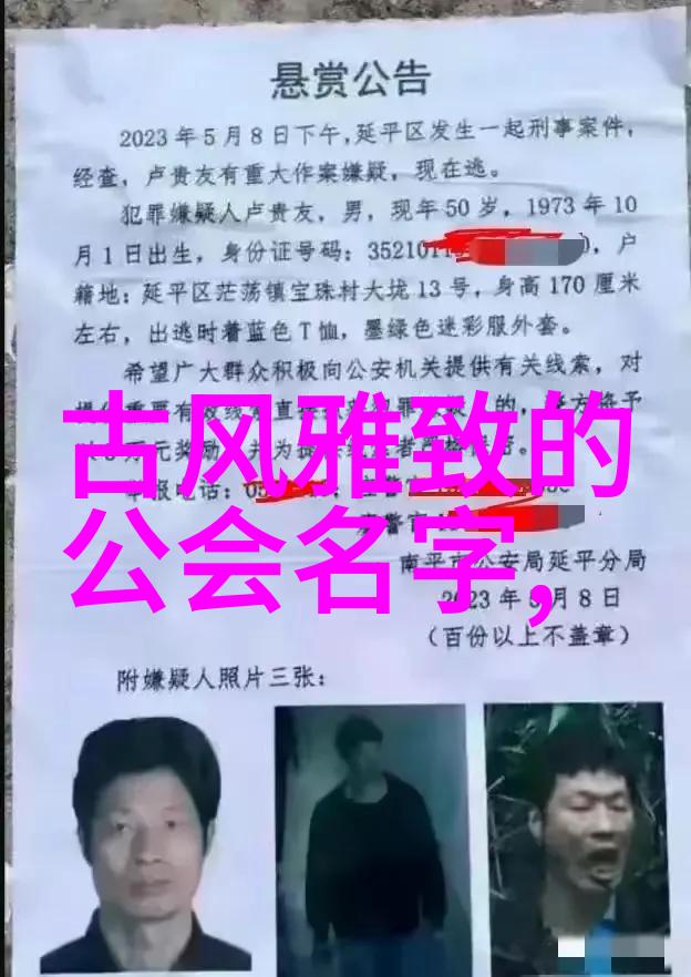 霸气仙盟的岳家拳又是什么样的