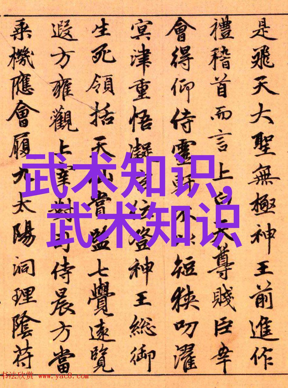 武术自学指南提高个人武艺的有效方法