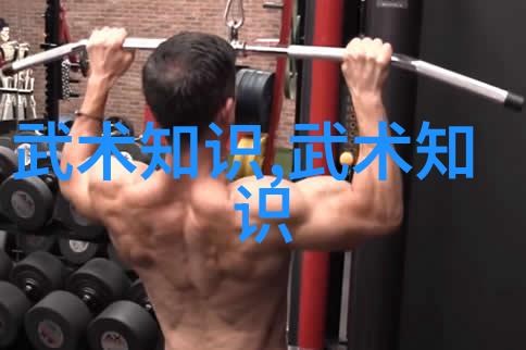 松开掤劲张志明探索中国拳法多样性在社会中活力传承