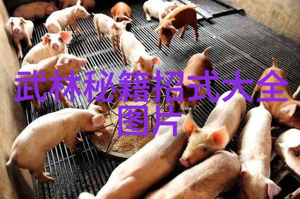 李小龙功夫秘诀太极拳推手走粘技巧大解密-张宝银