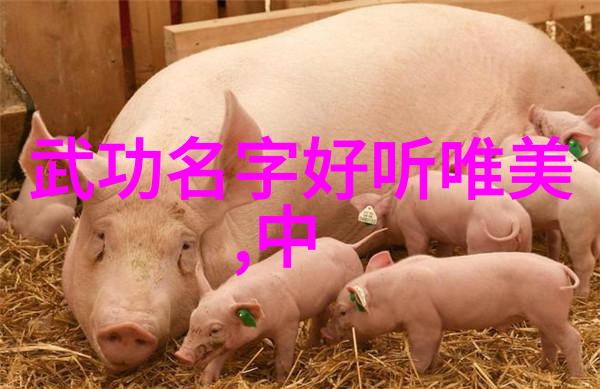 史上最好听的帮会名字五个字-江湖之冠搜寻那些音符般的帮派称号