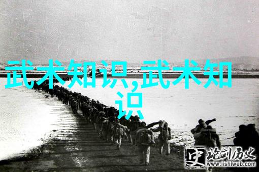 古武功法秘法-揭秘江湖绝学古武功法的奥秘与运用