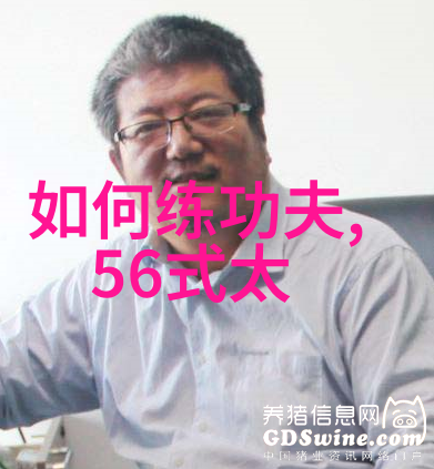 太极拳24式自学图解猫行步练法