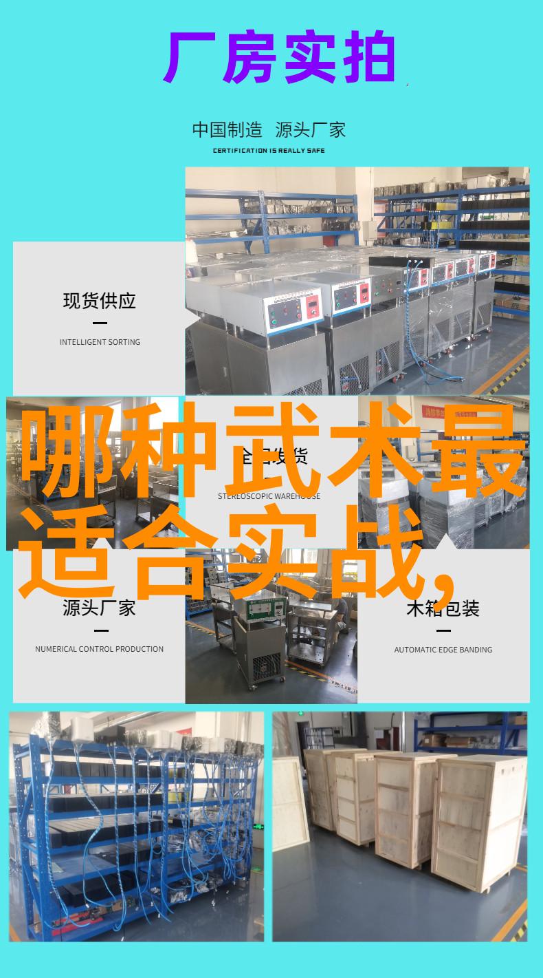 武林秘密揭开中国最庞大武术门派的神秘面纱
