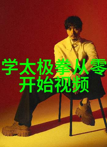 太极拳之道24式的智慧与魅力