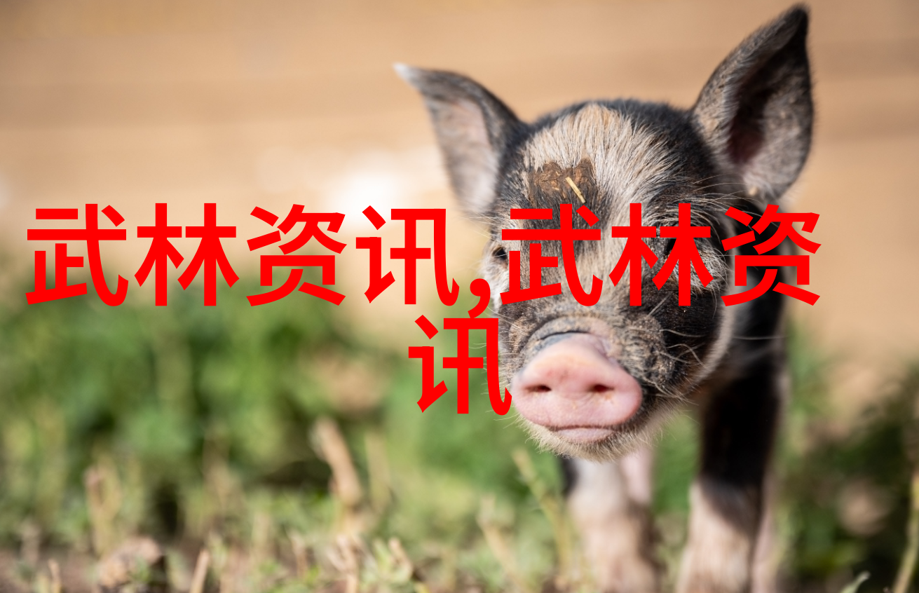天下第一揭秘十大最强武功秘籍