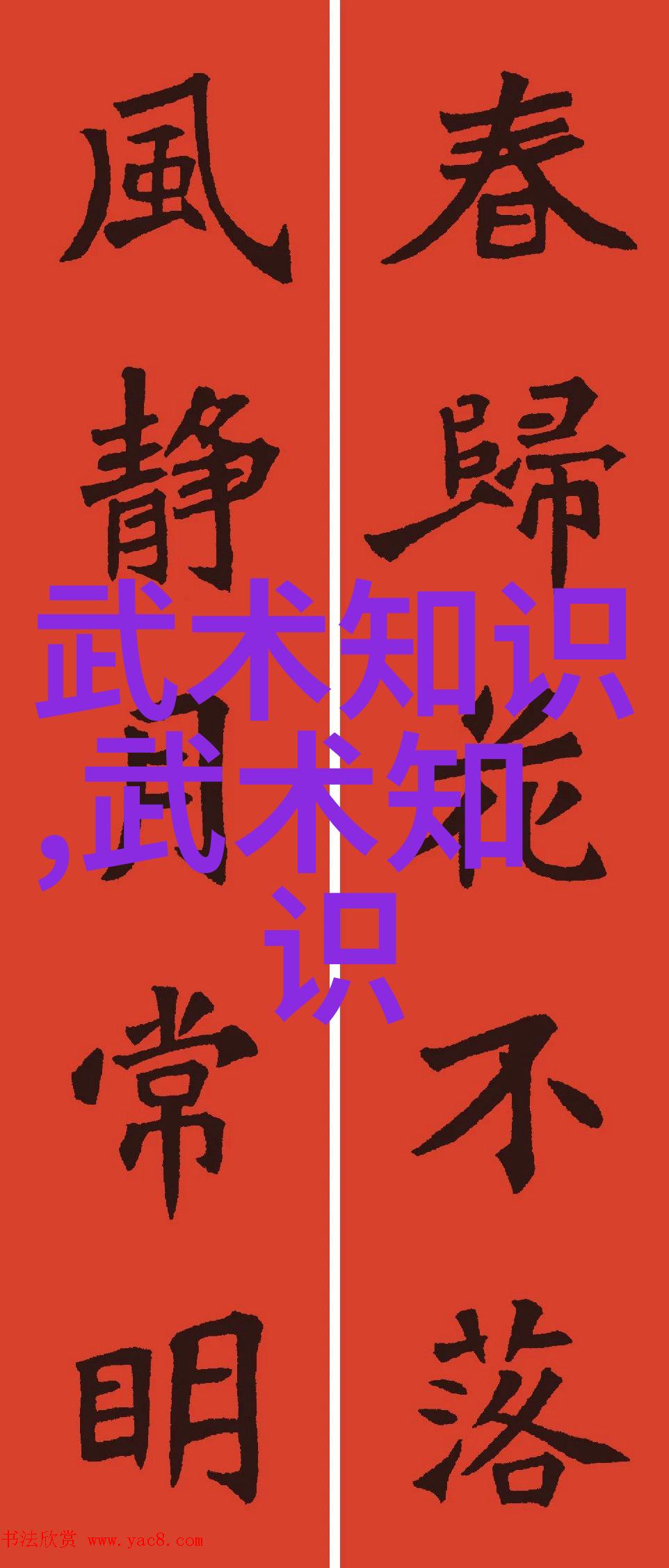 糖心VLOG精选集探索二区的魅力与深度