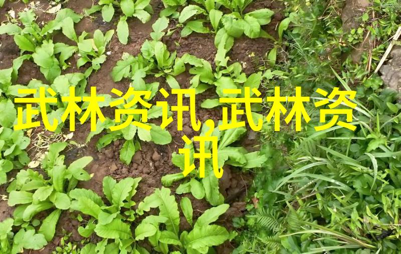 竞彩足球风暴浦和红钻大胜柔佛联赛霸主全北现代神户胜利船与巴吞联齐登八强