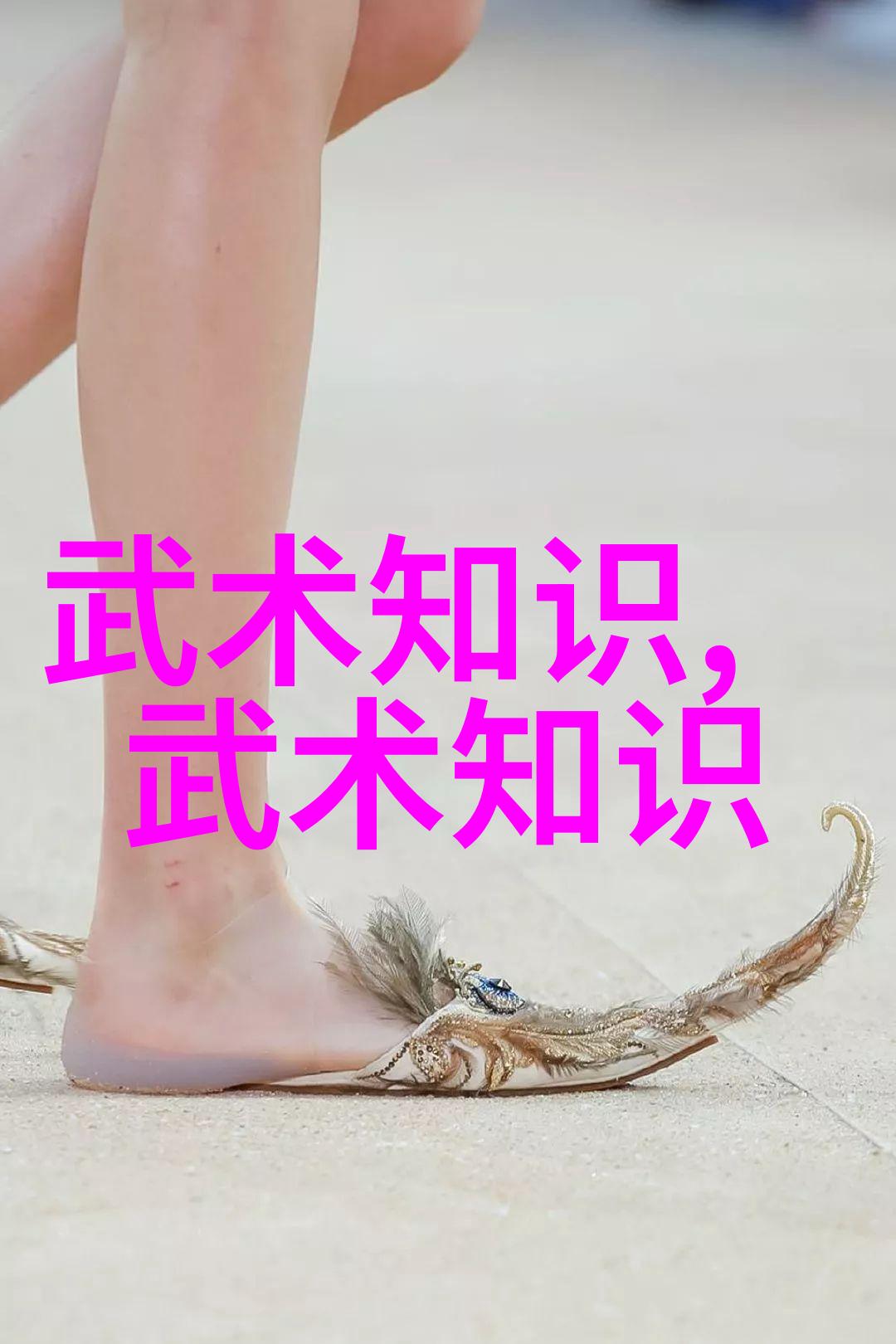 星辉之翼风华绝代的好听势力