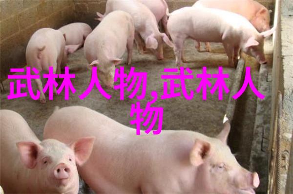 太极拳教与学季荣发教授如何在社会中快速学会轻功
