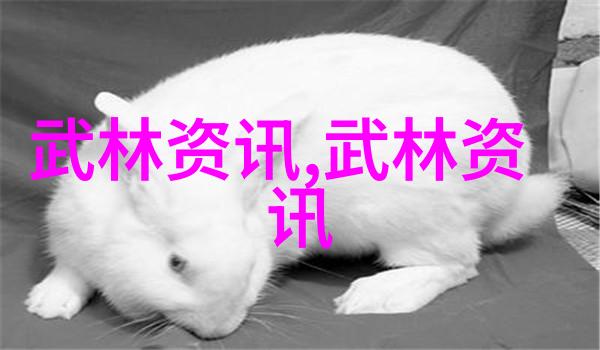 幽深门派济宁查拳云端之巅的霸道姿态隐藏着江湖中的不为人知