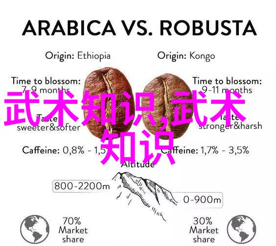 武林秘籍揭秘世界上最强大武功古今神功集粹