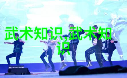 武技图谱拳法秘奥之谜