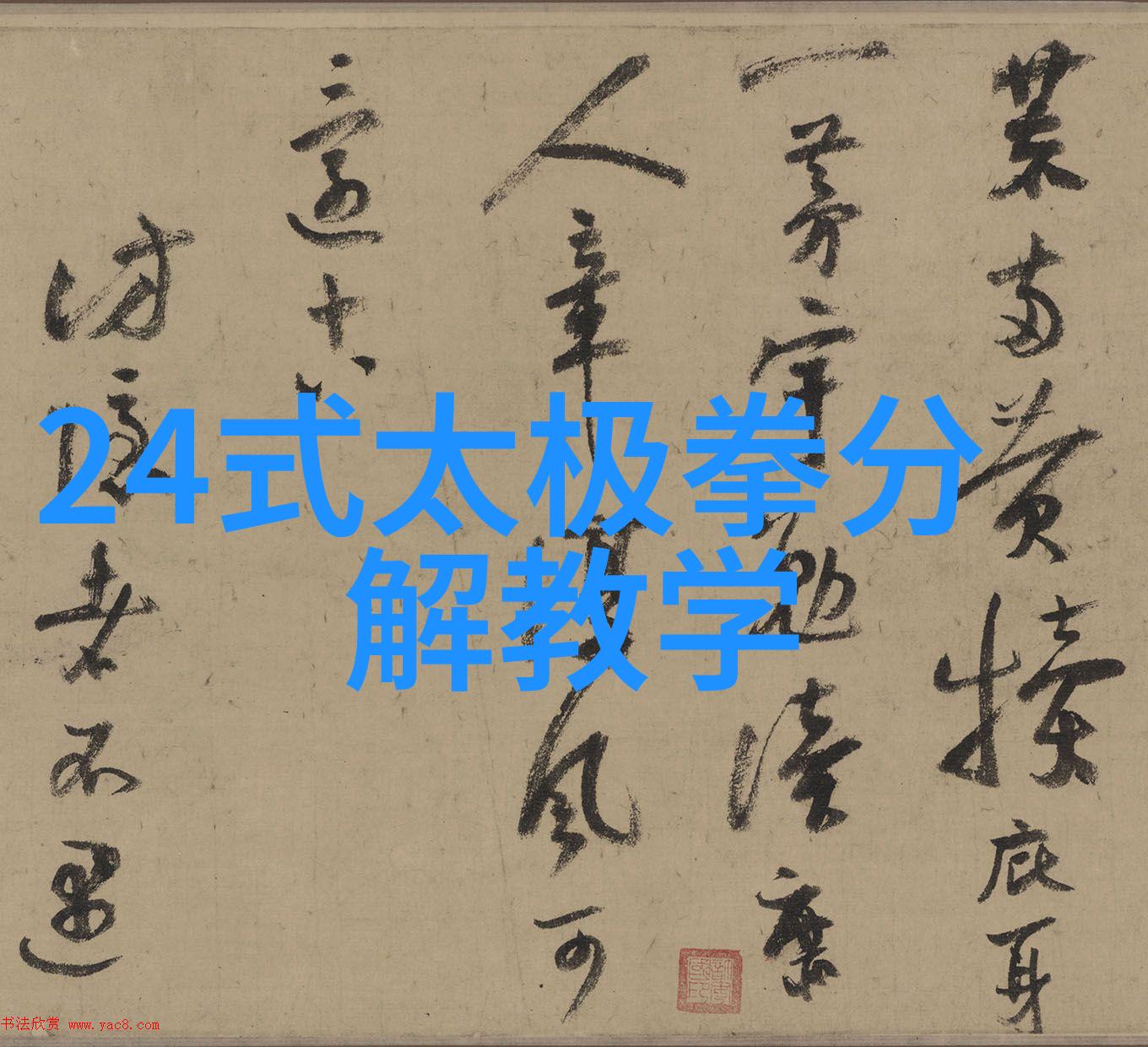 一怪二圣三尸四奇五绝太极拳推手练功走粘秘笈-张宝银