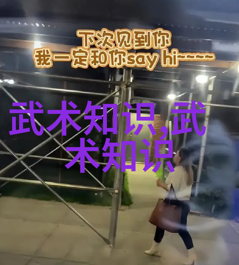武林秘籍少林寺内传授的绝技之冠