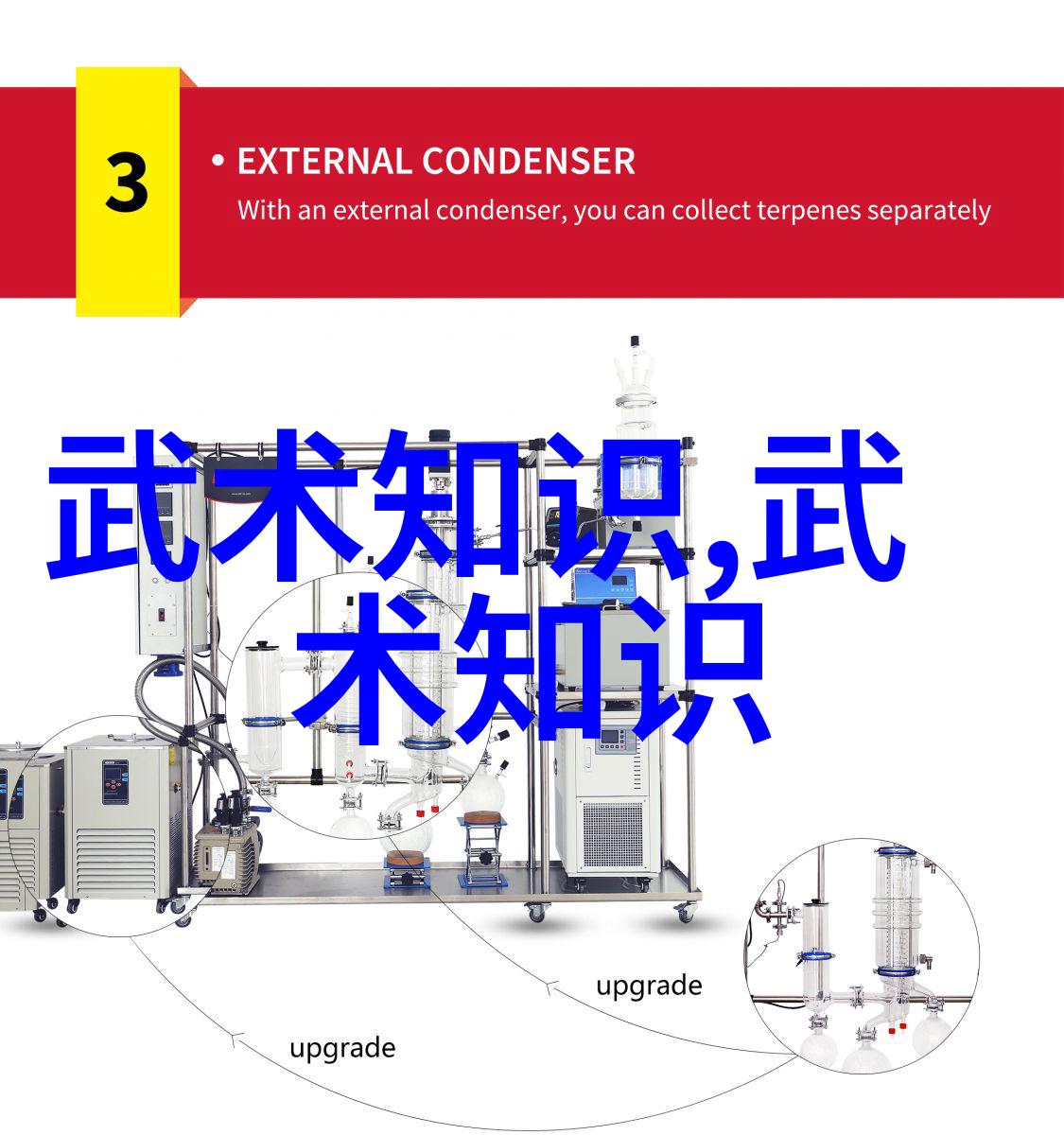 武侠秘籍探秘咱们村的十大绝技揭秘江湖中最厉害的武功秘籍