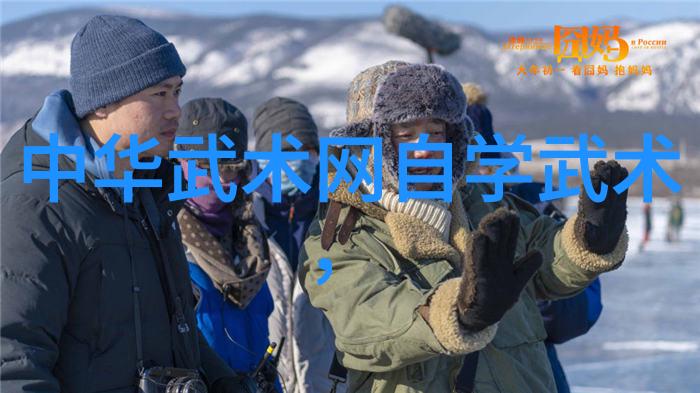 中国功夫秘籍大全太极拳内功的练习方法既要柔和又要有力