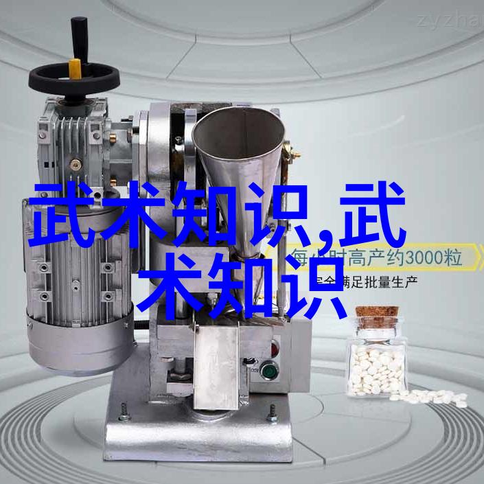 广东开平举办首届国际武术文化节