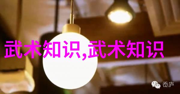 幽冥拳谱天地飞扬太极