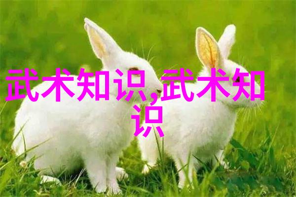 太极拳黏手练功武术修炼境界划分大全藏于古籍之中流传千年