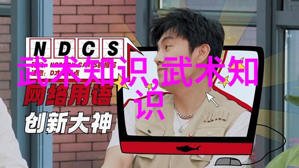 中国武术门派大全中华古典武术传统与现代实战技巧