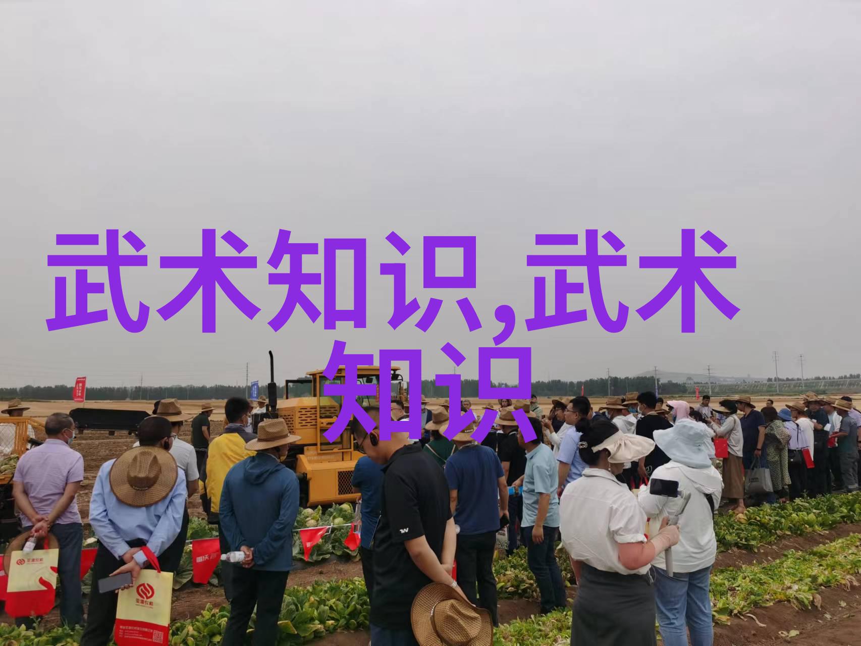 太极拳自在家修炼武功之道