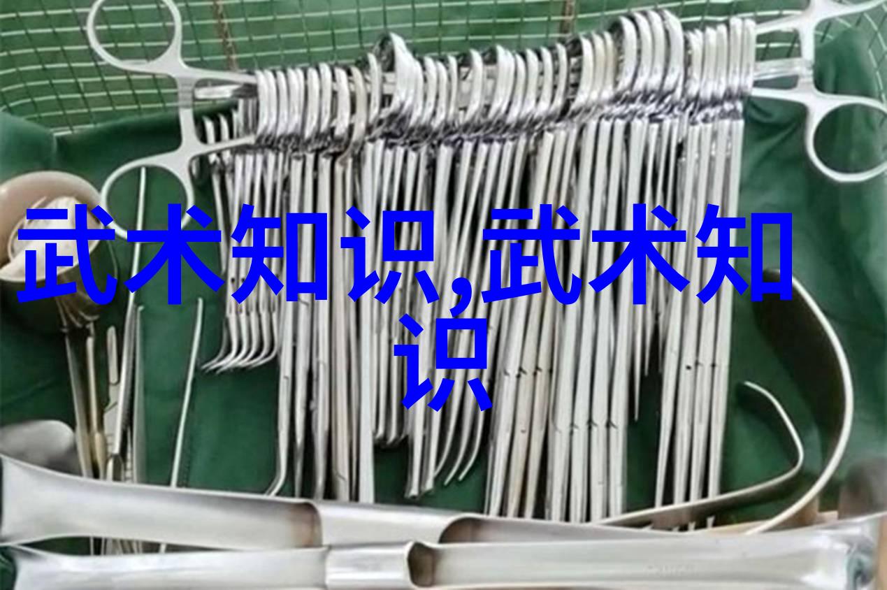 中国功夫门派实战排名揭秘武林最强的秘密