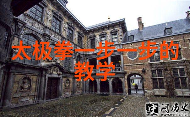 张晓星的武术活动名称大全我练太极十三桩足以镇服千军万马