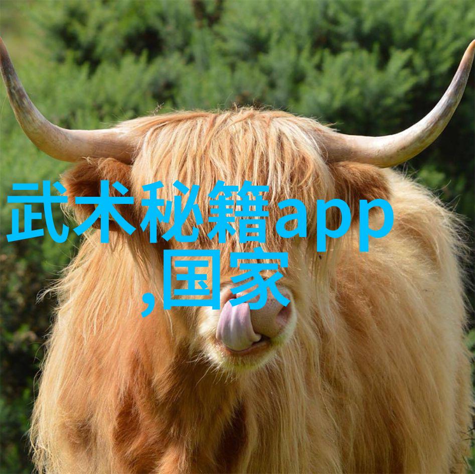 震惊抖腿背后的秘密是否能助你达成瘦身目标