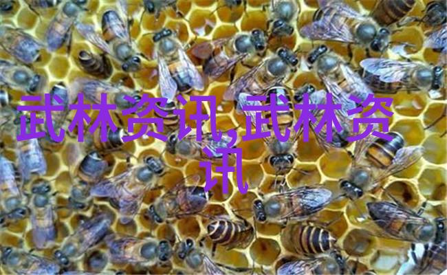 古风联盟诗意八门拳如同天下武林的八大派门在心中激荡