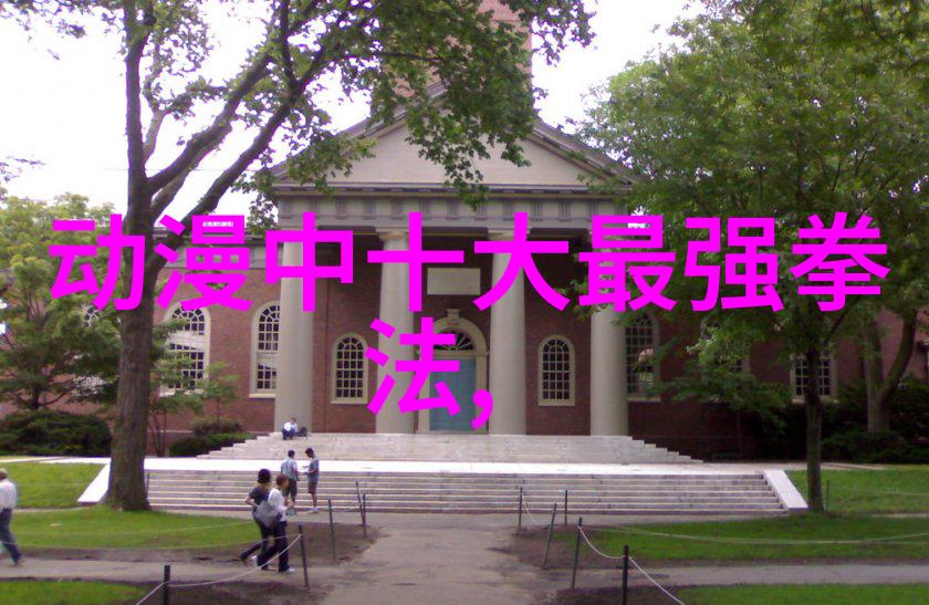 翁心诚教授的太极拳内劲整合技巧揭秘形意拳最惧怕的对手