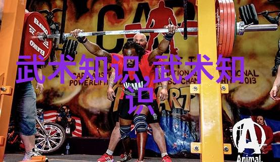 武林十大门派名字 - 云游四海揭秘武林十大门派的传说与辉煌