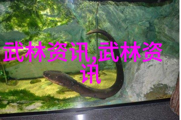 如何快速学会轻功点起点落与虚实转换-吴焕德