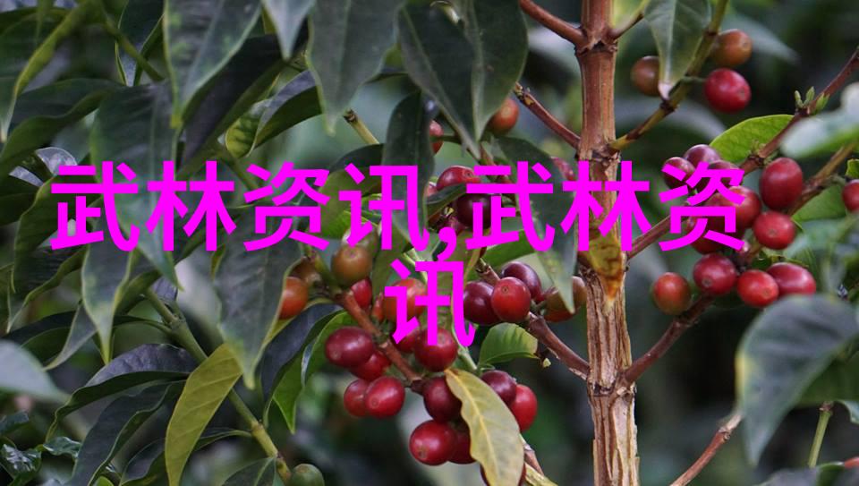 梦幻江湖中的神秘宗师探讨那些不为人知的大师们背后的故事和心得体会