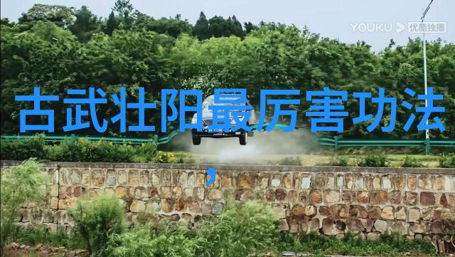 24式太极拳精髓解析深入浅出的24式太极拳分解教学