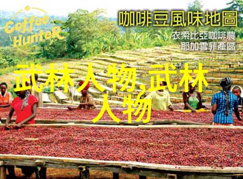 武林秘籍禁书与启示