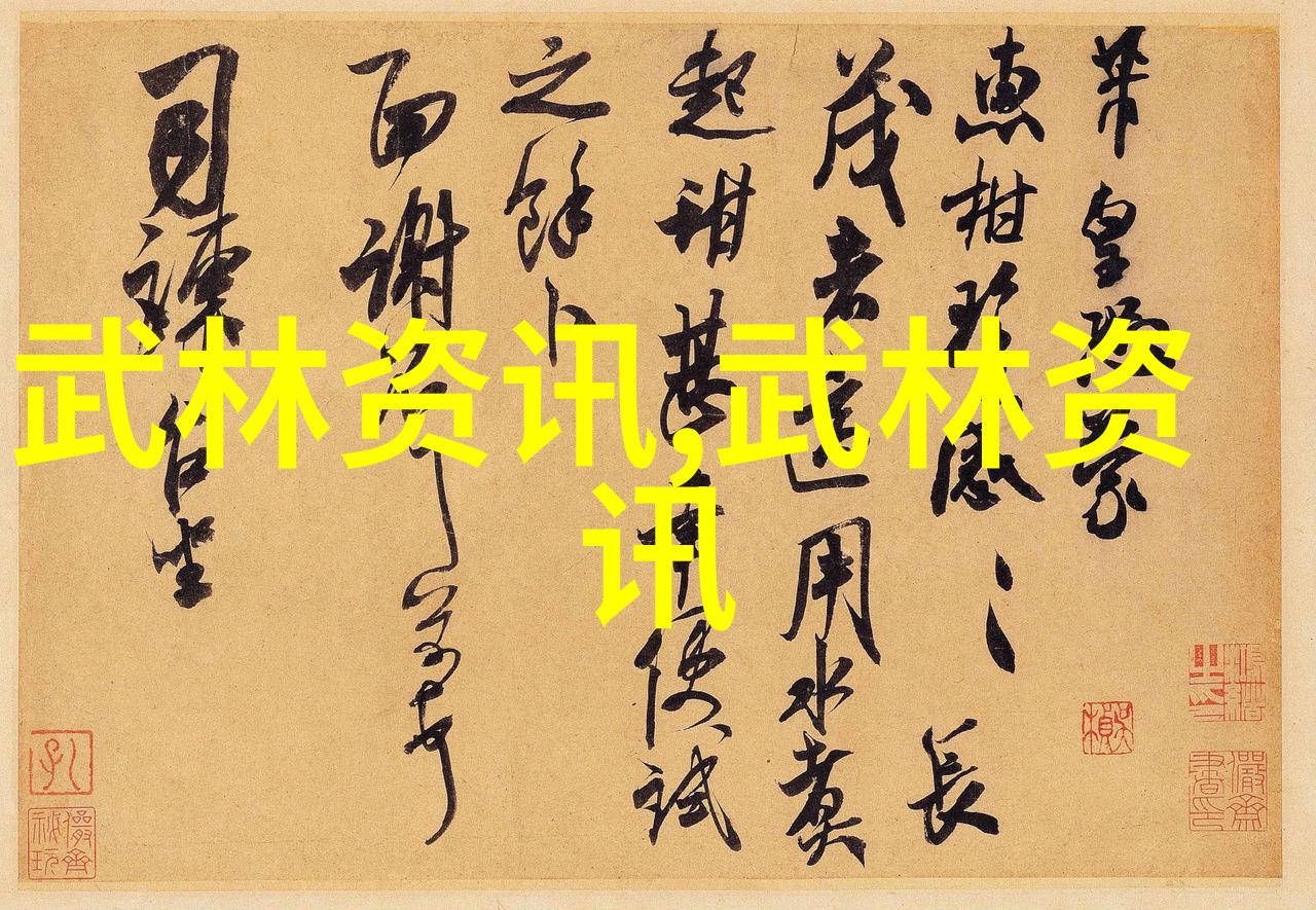 武术对决-南拳与华拳哪种技艺更为霸道