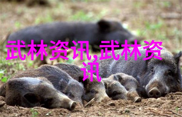 清风帮派的72式迷踪艺天山门派的新疆拳法