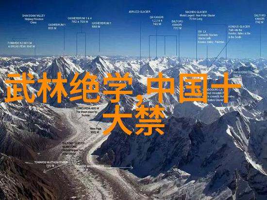 少儿武术梦想小拳手的成长之旅