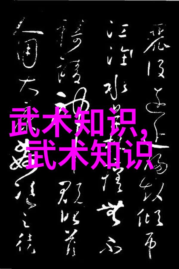 胡新朝探究腰胯关系之新视角咏春拳法体现