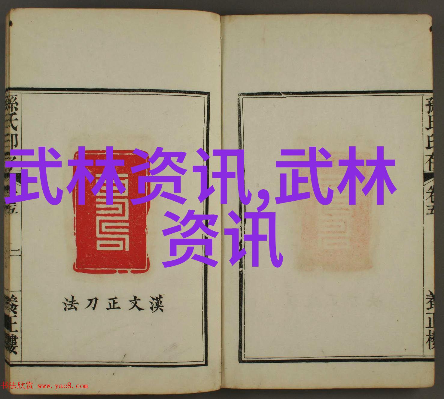 中国武术史上的十大巨擘揭秘中华传统武艺的巅峰之作